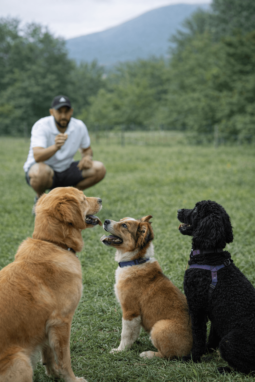Flávio, adestrador de cães em Alto de Pinheiros, São Paulo