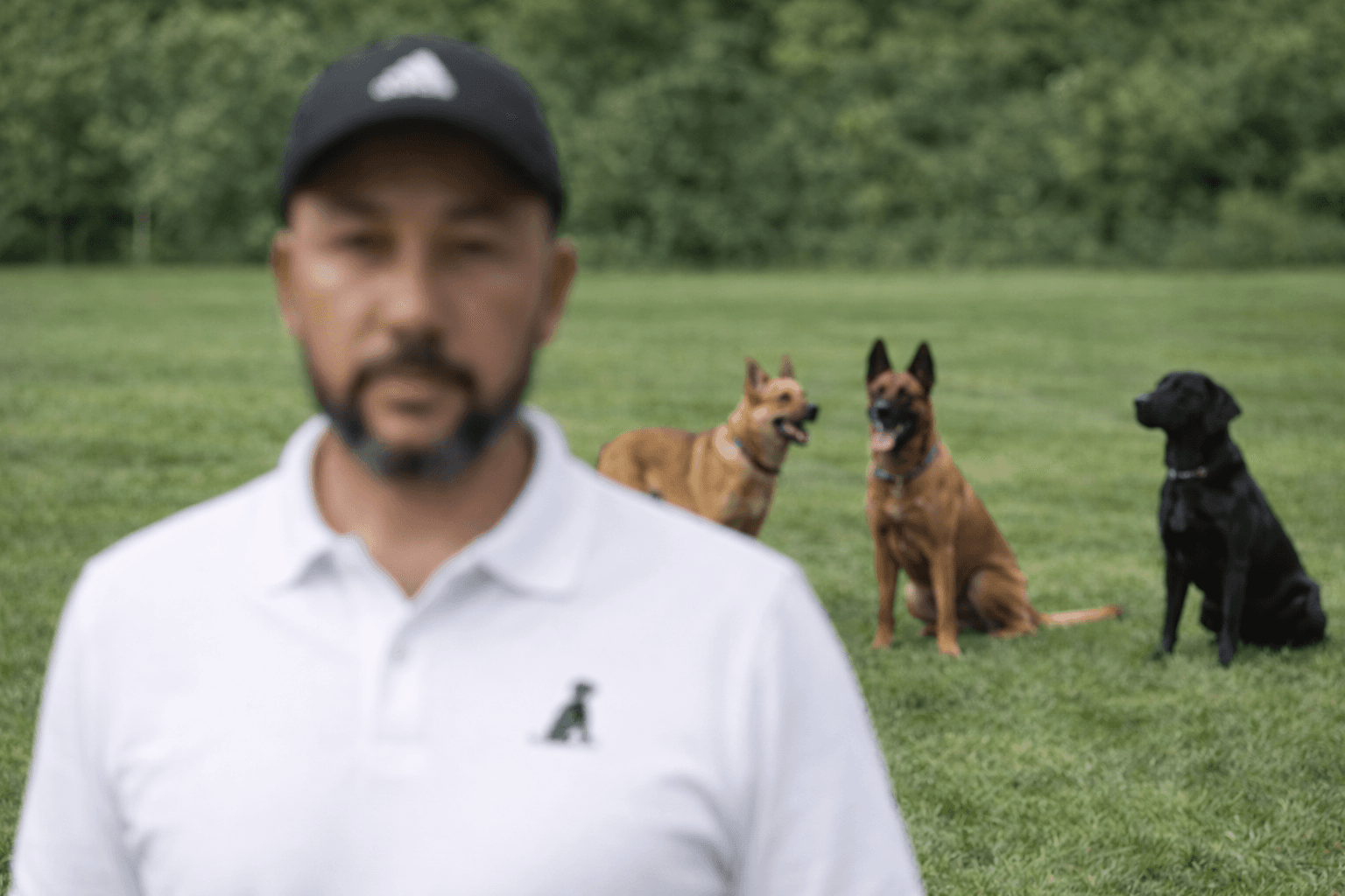 Flávio realizando adestramento de cães em Alto de Pinheiros, São Paulo